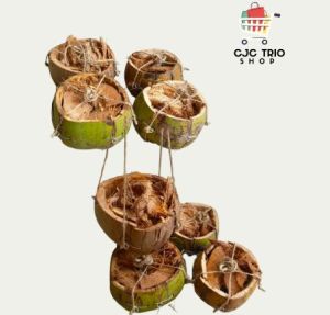 CJC Coconut Shell planters with rope handles for hanging natural brown and green color rustic garden decor-Native Bunot-Random Size(4pcs/set)