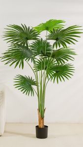high quality palm leaves tanaman dekorasi