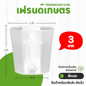 กระถาง กระถางแคคตัส กระถางแปดเหลี่ยม 2 นิ้ว สีใส Bundle 100 ใบ ชิ้น อัน