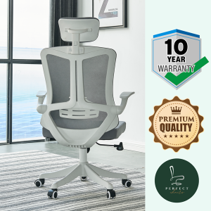 Ergonomic Office Chair P669A-WHT (10 Years Warranty)