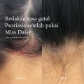 MISS DAISY | French Perfume Shampoo | Anti Ketombe | Rontok | Lepek | Gentle Shampoo | 50ml 500ml  Peony Amber Rose Oud Blackcurrant Vanilla Sugar. 