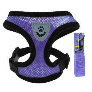 Pet Leash Dog Harness Leash Mesh Collar Leash Strap Complete Set Pet Adjustable Leash Belt Traction Rope