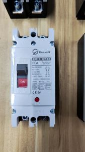 2P DC Molded Case Circuit Breaker MCCB 80A 100A 125A 160A 200A 250A with High Short-Circuit Capacity