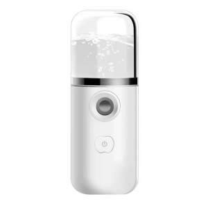 Mini Electric Iron Quickly Smooth Clothes Wet Dry Handheld Clothing Iron Steamer Travel Device