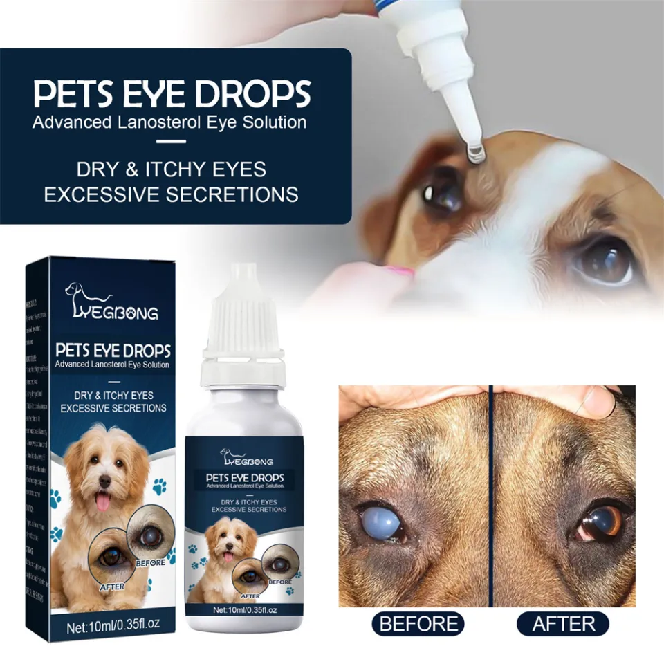 Itchy Eyes Eye Medicine For Dogs Lanosterol NAC Dog/Cat Eye Drops