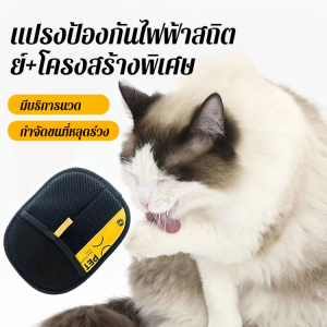 🔥【เครื่องมือกำจัดขนมหัศจรรย์】ถุงมือกำจัดขนไฟฟ้าสถิตย์สำหรับสัตว์เลี้ยง แปรงสองทาง/ถุงมือกำจัดขนไฟฟ้าสถิตย์สำหรับสัตว์เลี้ยงแบบสองทาง/แปรงกำจัดขนสัตว์เลี้ยง/เครื่องขจัดขุยสำหรับเสื้อผ้า