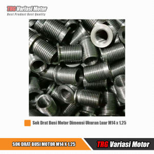 Sok Drat Busi Motor Grand Over Bosh TRG Bahan Besi Baja Diameter Luar M 14 x 1.25 Harga Per Biji