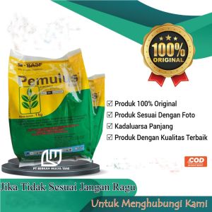 Fungisida Pemulus 80 WG BASF 1 Kg Bahan Aktif Belerang