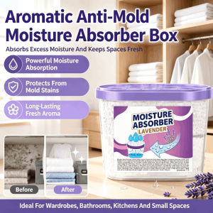Fragrance Anti-mildew Moisture Absorbing Box Large Dehumidifier Box Moisture Absorber Deodorising 防潮防霉除湿盒