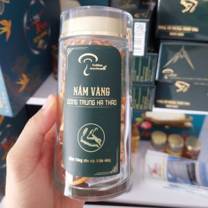 Đông trùng hạ thảo Nấm Vàng khô sợi to hộp 15G [Hàng Cao Cấp]