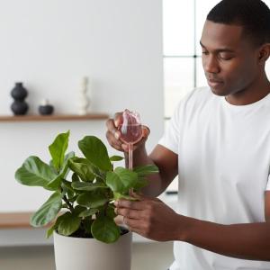 LEI Stylish Plant Watering Solution Tulip Plant Watering Globes Self Watering Bulbs For Indoor Outdoor Plants Automatic Spikes