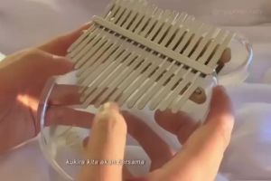 17 Keys Crystal Kalimba Bear Acrylic Thumb Piano Acoustic Finger Piano Music Instrument