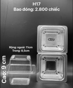 100 cái hộp nhựa trong hình vuông mã H17