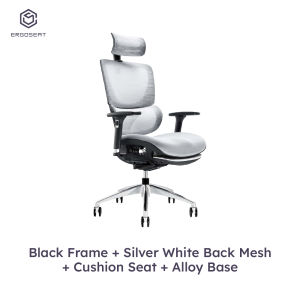 Ergoseat 101AF Series Ergonomic Home Office Chair with Legrest - Include Delivery