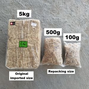 [ 5kg± ] Premium 5 Stars Chilean Sphagnum Moss For Phalaenopsis Orchid Bonsai Nepenthes Fern Kokedama