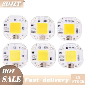 SDJZT 100W 70W 50W 220V COB LED Chip for Spotlight Floodlight LED Light Beads Aluminum