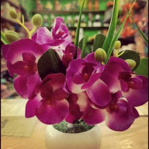 bunga anggrek mini artifisial lengkap dengan pot hiasan ruang tamu dan kantor