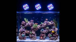 GREATLH 54W Full Spectrum LED Fish Tank Lights E27 Reef Coral Lamp Aquatic Plants Growth Light For Saltwater Seawater Aquarium Lighting