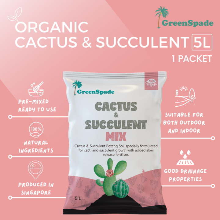 [BUY MORE, SAVE MORE] Cactus and Succulent Mix 5L | Lazada Singapore