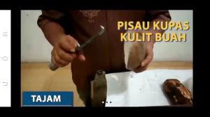 pisau pengupas kulit Ari kelapa dan buah original