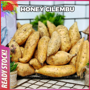 [LIMITED STOCK !!!] UBI MADU CILEMBU / HONEY CILEMBU / CAMERON HIGHLANDS [RANDOM SIZE] FRESH