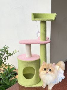 Rumah Mainan Kucing Tempat Tidur Makan Kucing