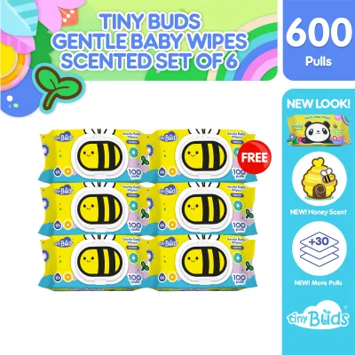 Tiny Buds Organic Baby Wipes with Honey Scent (100 pulls) Set of 6
