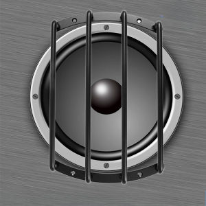 8/12 Inch Metal Speaker Grill for Car Audio Subwoofer