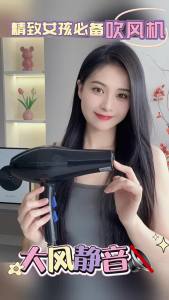 AE Manufacturers hair dryer household appliance department store hair dryer high wind power various power options hot and cold air