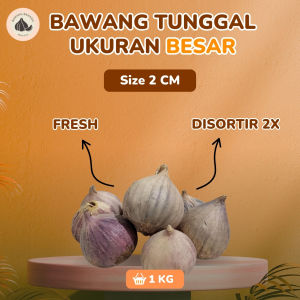 HSD Bawang Putih Tunggal Lanang Besar (JAMIN TIDAK BUSUK) - Bawang