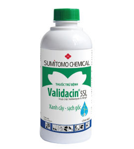 Sản phẩm trừ bệnh trên cây trồng Validacin 5SL - 450 ml chuyên trừ nấm bệnh và vi khuẩn như: Khô vằn/Lúa Đỗ ngã cây con/Ớt Mốc hồng/Cao su Thối nhũn/Bắp cải