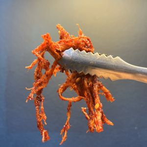 Seasoned Shredded Squid