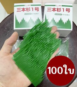 แผ่นหญ้าเทียมสำหรับตกแต่งซูชิ (Set100/200ใบ) ใบไม้แต่งซาชิมิ ซูชิ และอาหารญี่ปุ่น