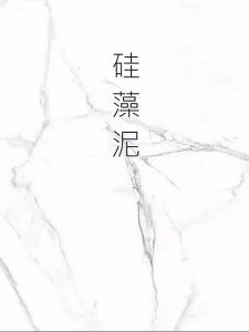 [SG Stock] WOODLES Diatomite Stone Mat 39X60 Toilet Shower Bath Mat Quick-Dry Non-Slip Anti-Bacteria Easy-Cleaning