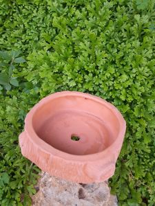 Chậu Trồng Cây Gốm Sứ - Chậu Trồng Bonsai - Chậu Trồng Cây MiNi – Chậu Trồng Cây Sen Đá