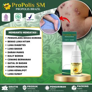 ProPolis SM 100% Asli Original Obat Penghilang Bekas Luka Koreng Obat Darah Manis Borok Cenang Bernanah