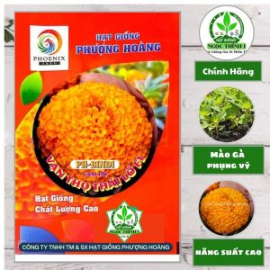 (Gói 1gr) Hạt Giống Hoa Vạn Thọ Thái Lỡ Cam Đỏ F1 PH-ZINDI PHƯỢNG HOÀNG