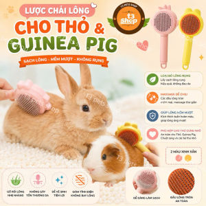 lược tròn chải lông rụng có nút bấm cho thỏ - T3 PETS SHOP