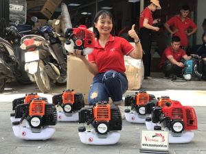 Động cơ máy cắt cỏ động cơ 2 thì siêu rẻ