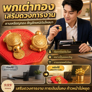 Lucky Charm 2025 Year Feng Shui Money Turtle Golden Beetle Biting Money Lucky Guarding Decor for Home Office Feng Shui Wealth Talisman