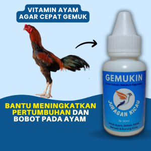 Gemukin Vitamin Ayam Agar Cepat Gemuk Anti Nyilet Dan Kurus