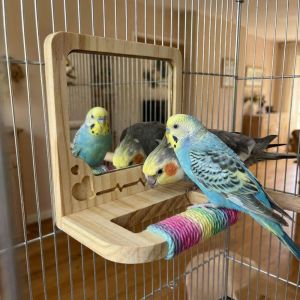 OUTOPEN Wear Resistant Bird Perch with Mirror Bite Resistant Anti-slip Interactive Parrot Biting Rod Mental Stimulation Grinding Teeth Hanging Parrot Play Rack Bird Cage Accessories