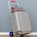 Xe đẩy tay kéo gấp hành lý xách tay mua sắm Mua Đồ tải Wang xiaola Xe đẩy nhà giảm giá thực tế.. 