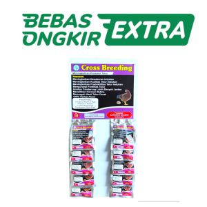 CROSS BREEDING 1 RENTENG - meningkatkan produksi telur