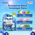 Molto Pelembut & Pewangi Pakaian Softener Konsentrat Parfum +Protect Morning Fresh 1.6 L. 