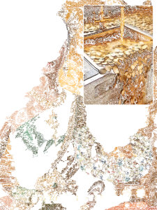 สร้อยข้อมือพลอย แฟชั่นอันเป็นเอกลักษณ์ ฟังก์ชั่นการขนส่ง สว่าน ประดับมุก ชีวิตประจําวัน สี มือกว้าง