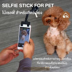 SELFIE STICK FOR PET ไม้เซลฟี่ สําหรับสัตว์เลี้ยง นวัตกรรมสําหรับการถ่ายรูปสัตว์เลี้ยง ที่จะได้ภาพมุมคิ้วท์ๆ ของน้องๆด้วย