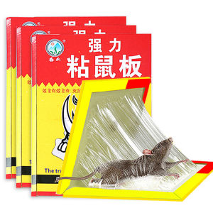 Strongly Adhesive Glue Glue Mouse Trap Rat Trap Mouse Sticker/Pest Control