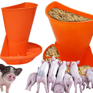 【Sẵn sàng giao hàng】trang trại lợn trung chuyển heo con máng cho ăn tự động đài phun nước lợn nái trung chuyển giao hàng máng ăn trang trại