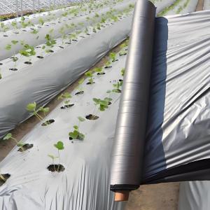 【COD】PLASTIC MULCH FILM 80CM X 600M (1 roll black) Weeding Film Thermal Insulation Film